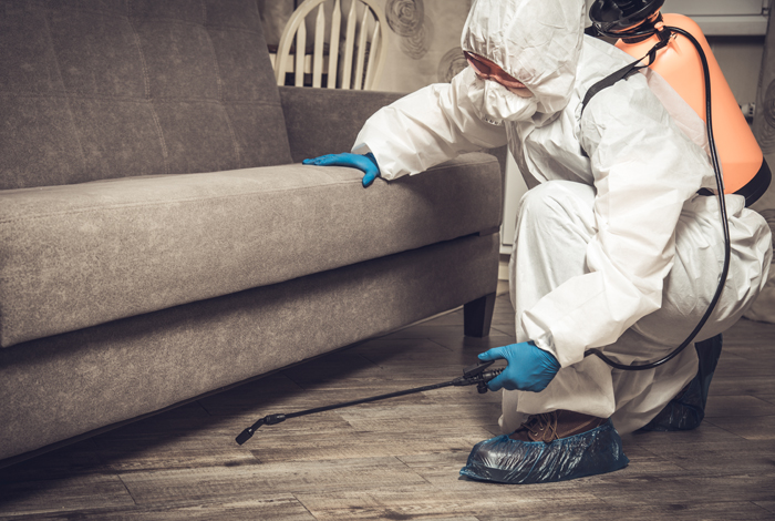 Pest Control Services-Real Estate Faridabad